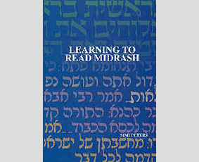 Learning to Read Midrash by Simi Peters