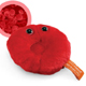 Red Blood Cell