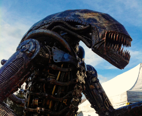 Let Me Fix This for You