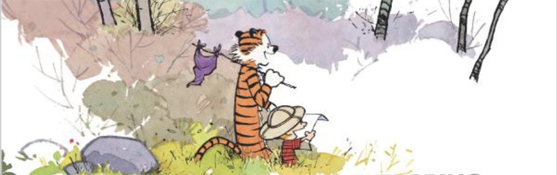 Calvin and Hobbes: Exploration